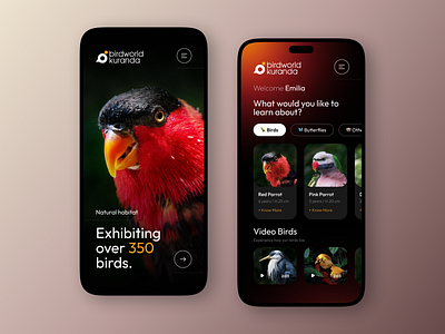 BirdWorld App 🦜 app design app mobile birds birds app innovation ios mobile nature ui design ui inspiration ui ux user interface ux design