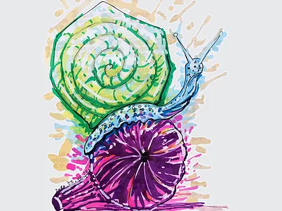 Snail in the Fig quirky