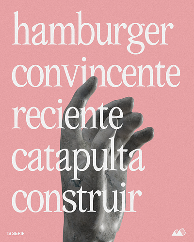 TS Garamendo in the works branding design graphic design typography