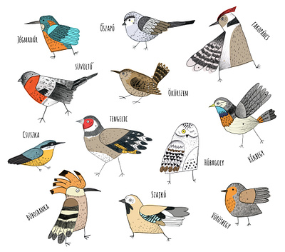 Birds of Hungary - Illustration animalart animalillustration bird birdart birdillustration birds bullfinch clothingdesign drawing graphic design hungarianbirds illustration jay kingfisher pencilart robin snow owl t shirt t shirtdesign woodpecker