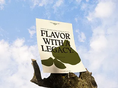 Poster design for Olive Oil brand from Florida brand identity brand strategy branding corporate identity flyer design graphic design illustration olive oil branding poster design rebranidng shape branding