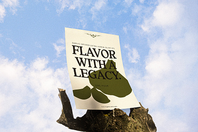 Poster design for Olive Oil brand from Florida brand identity brand strategy branding corporate identity flyer design graphic design illustration olive oil branding poster design rebranidng shape branding