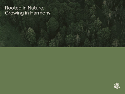 Visual identity for a retreat in the heart of Maine 🌿 bachoodesign branding clean design logo merch visual identity