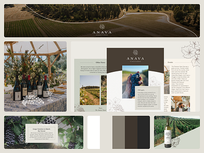 ANANA branding email figma graphic design marketing ui