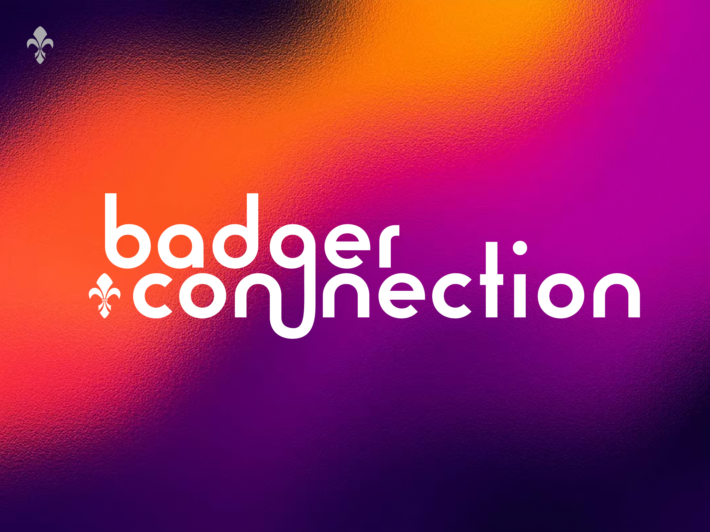 Badger Connection: Department Visual Identity brand brand design branding child logo college connection design favicon graphic design higher education logo retro student org subbranding type typography university vector visual design wordmark