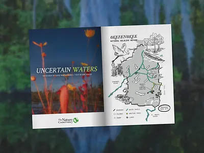 Nature Conservancy Illustration adventure birds canoe editoral illustration florida frogs handdrawing herons illustration lilypad nature natureconservancy outdoors summer swamp