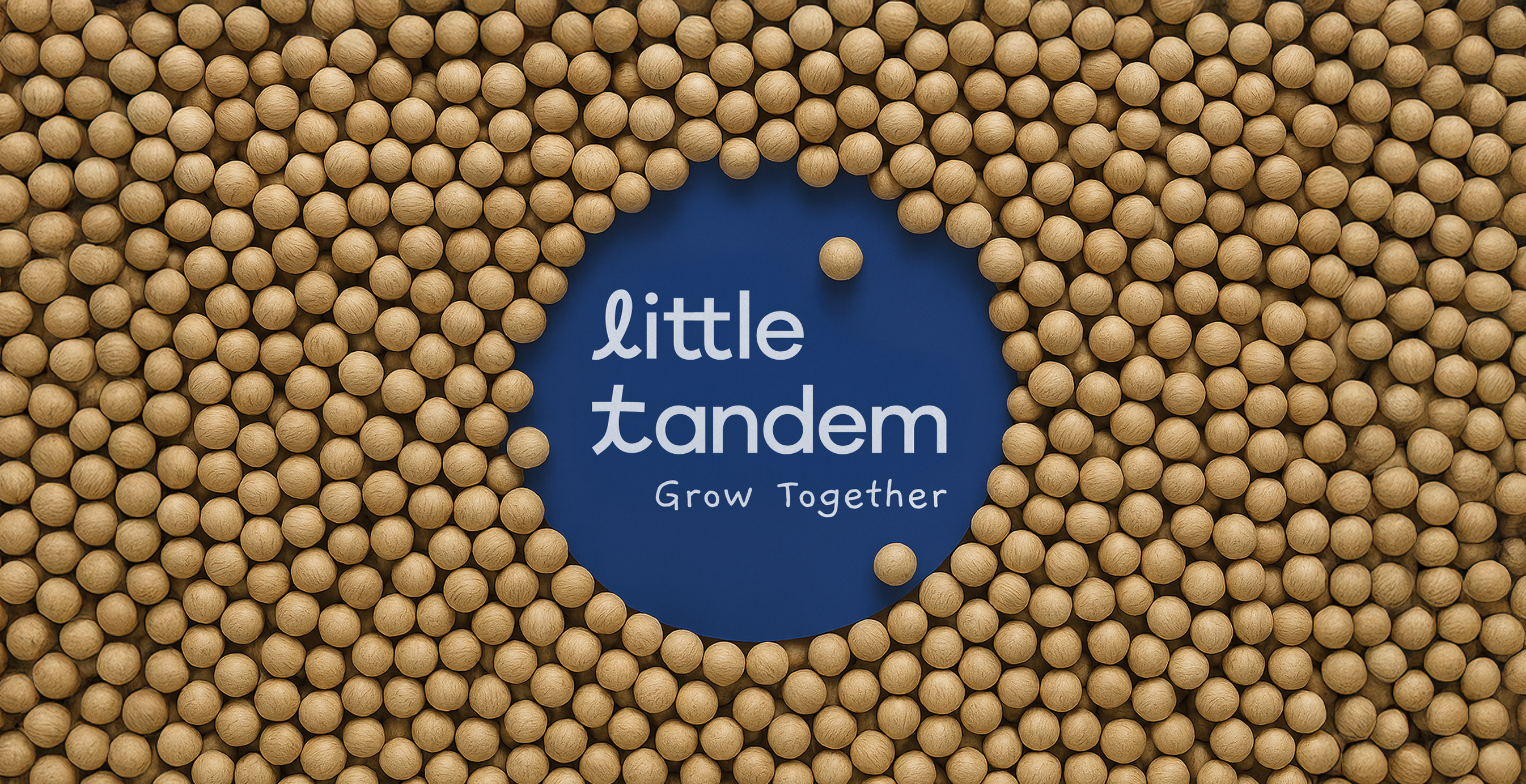 Little Tandem brand identity branding branding design children creative concept design fun fun branding furniture graphic design illustration kids kids branding kids logo learning logo logo design playful shopify website design website design