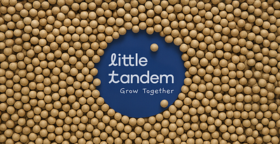 Little Tandem brand identity branding branding design children creative concept design fun fun branding furniture graphic design illustration kids kids branding kids logo learning logo logo design playful shopify website design website design