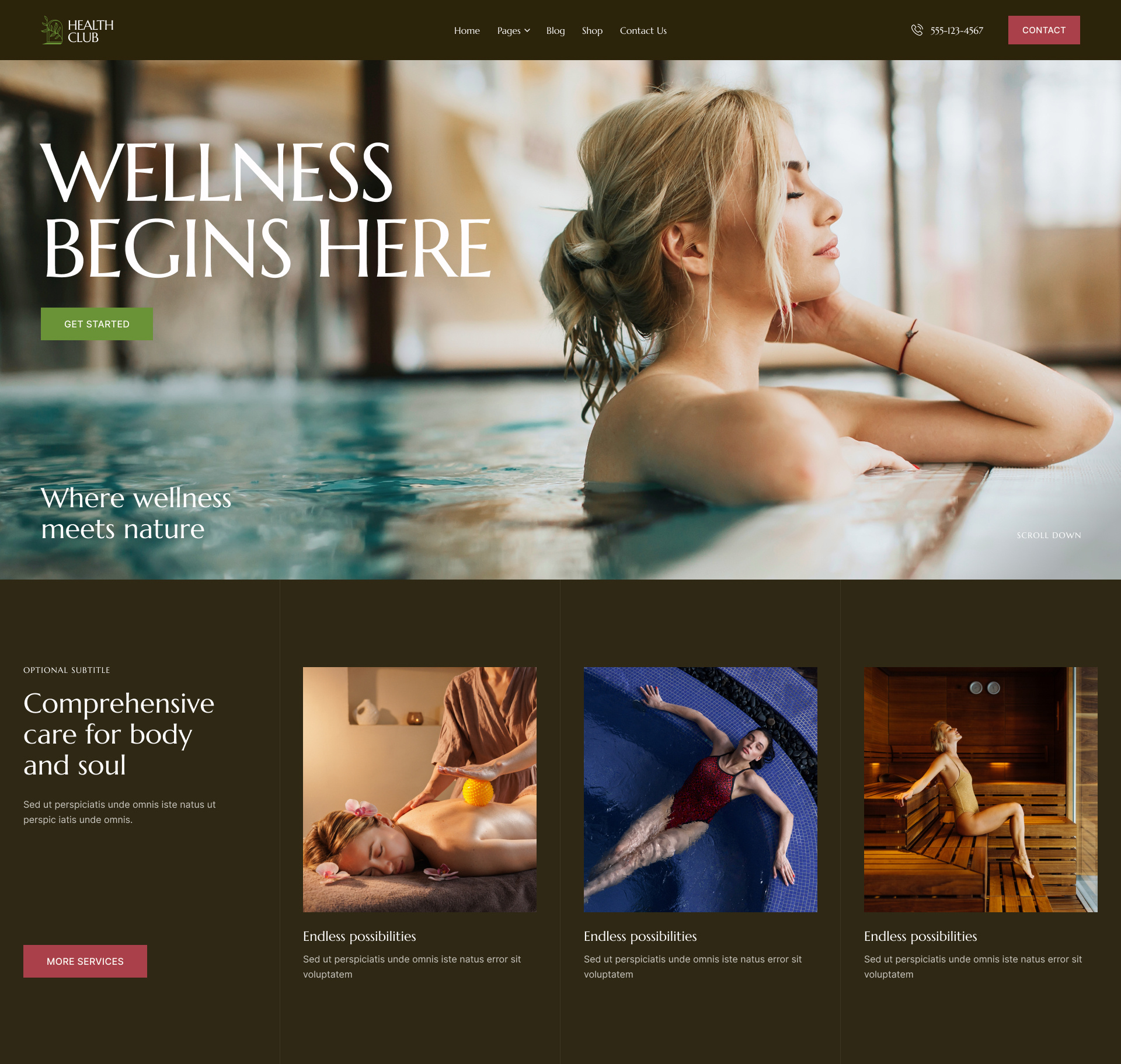 Health Club - Spa Salon & Wellness WordPress Theme blog business design illustration ui web design webdesign wordpress wordpress theme wordpress themes