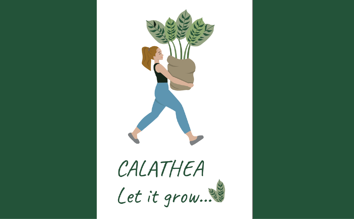 Иллюстративная айдентика для магазина Calathea graphic design illustration logo vector