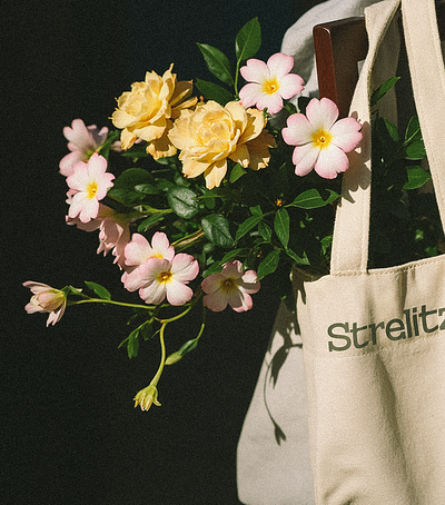 Strelitzia brand identity branding design graphic design logo