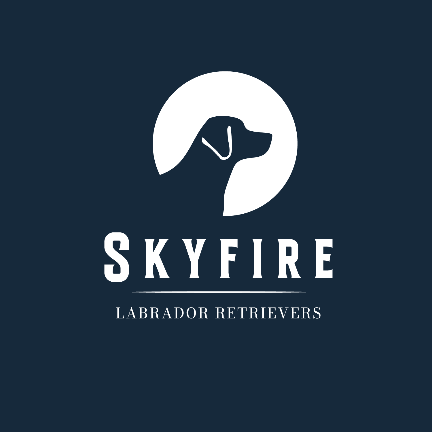 Example of Logo Design