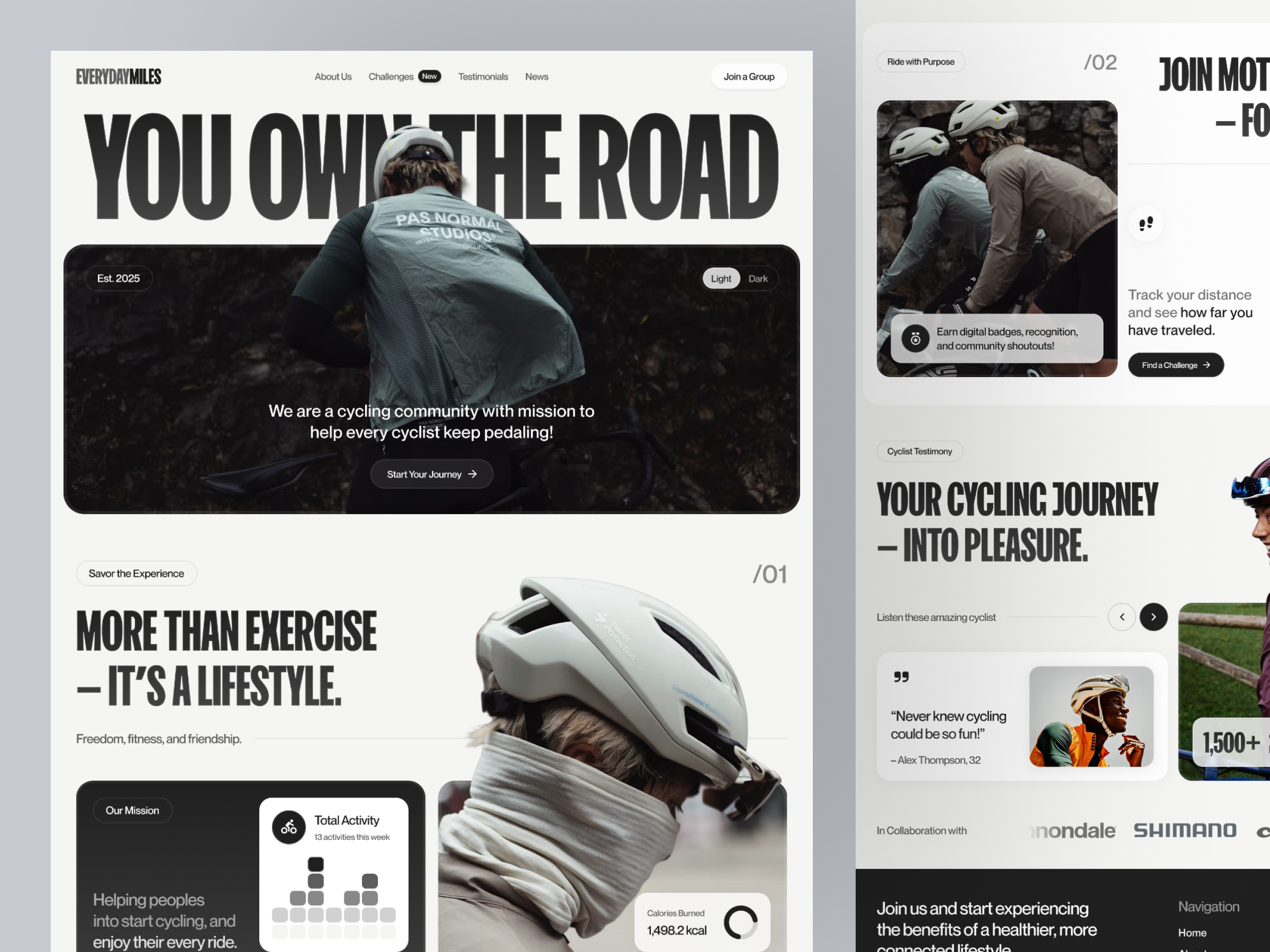 Example of Full Website (Concepts + 6 Subpages)