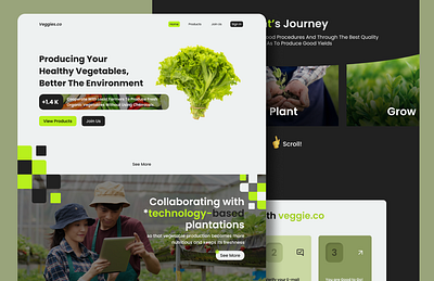 Veggies.co - Online Web Shopping for Vegetables on local farm design ecommerce ui uiuxdesign ux vegetables webdesign