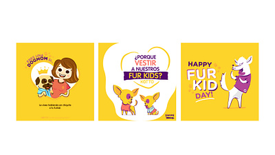 KOTTO - Social Media Illustrations adobe illustrator branding concept content design dogs graphic design illustration illustrator pets social media vector