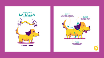 KOTTO - Applied Illustration adobe illustrator branding concept design graphic design illustration illustrator vector