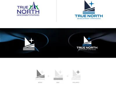True North Brand Design branding design graphic design illustration logo logo design modern signature logo ui unique