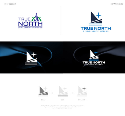 True North Brand Design branding design graphic design illustration logo logo design modern signature logo ui unique