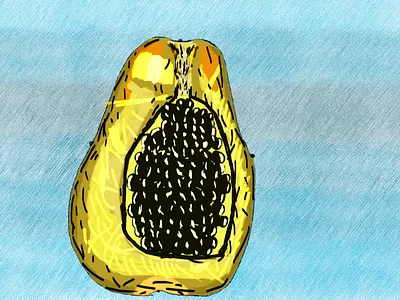 papaya clipstudiopaint csp digitalart digitalillustration foodart fruit illustration papaya stillife texture