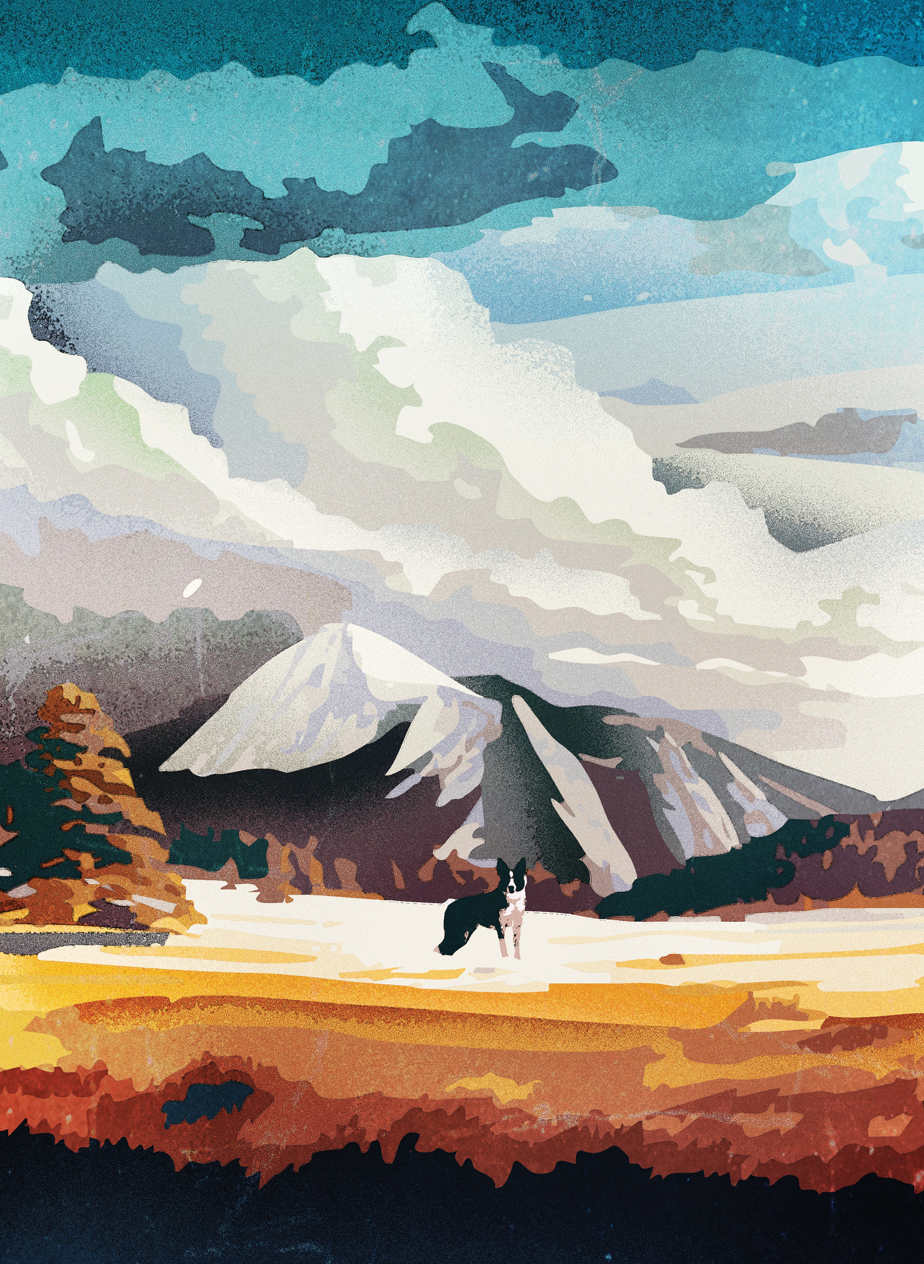 @thecitycollies illustration 1 branding graphic design