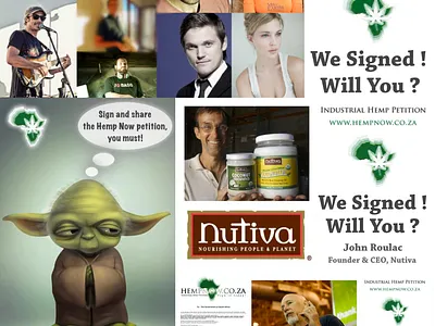 🌿 Building A Successful Campaign branding graphic design marketing