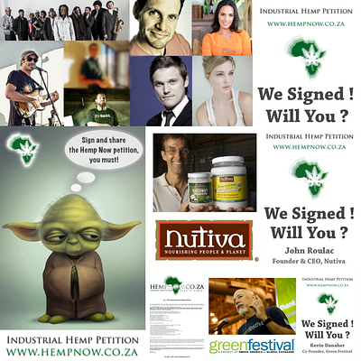 🌿 Building A Successful Campaign branding graphic design marketing