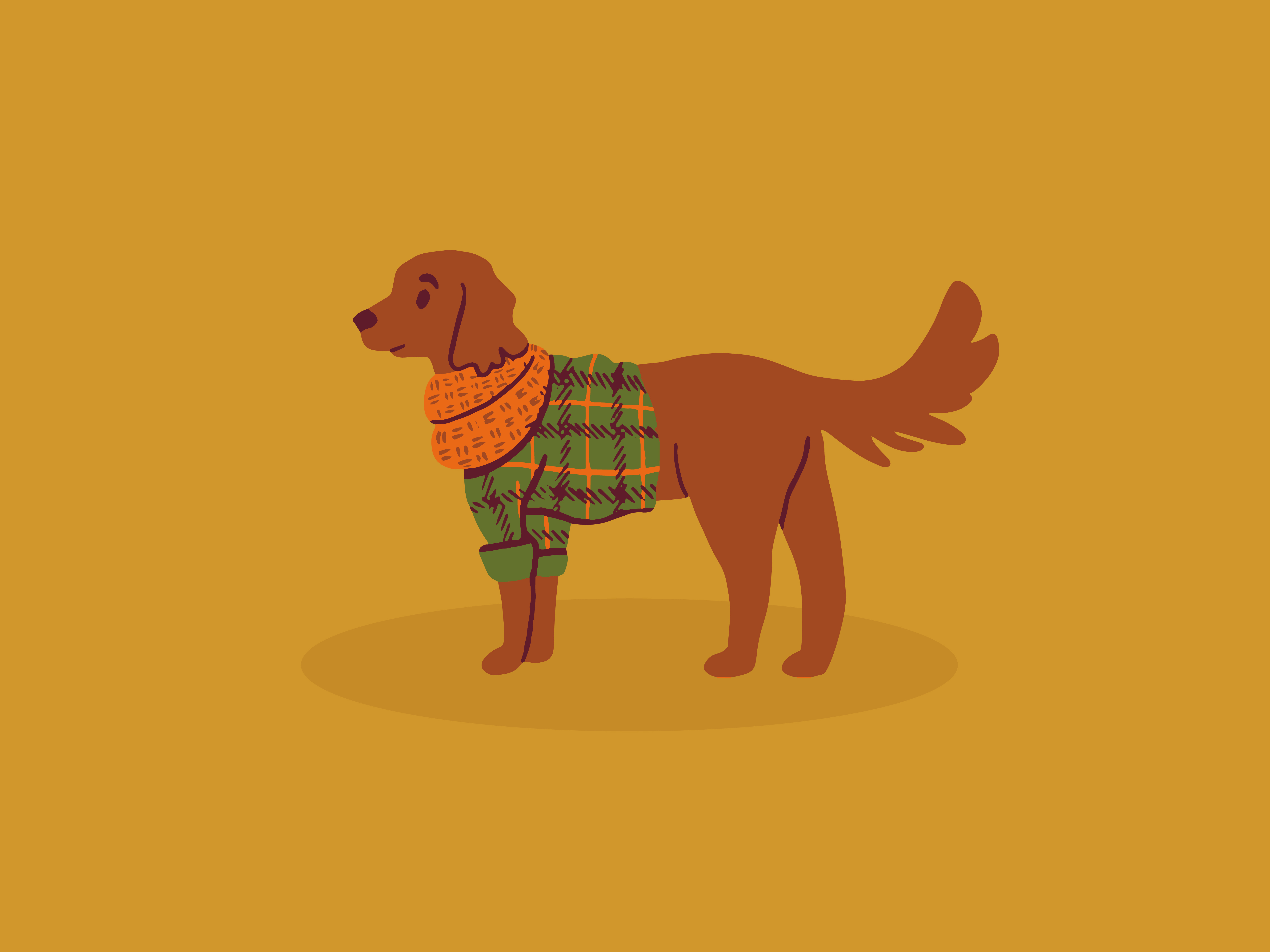 Flannel Wearing Pup autumn basic white girl blanket pattern chunky knit scarf coffee packaging cozy season digital art dog drawing dog illustration fall falling leaves flannel shirt golden retriever grounds and hounds halloween labrador pumpkin patch pumpkin spice latte puppy spot illustration
