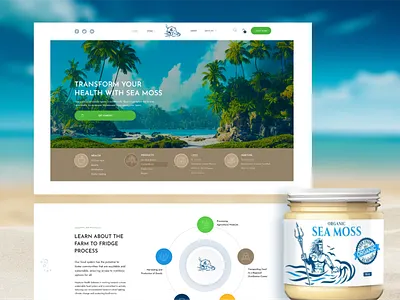 Neptune Sea Moss eCommerce Website ecommerce food online shop product shopify supplements tropical wordpress
