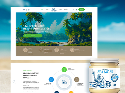 Neptune Sea Moss eCommerce Website ecommerce food online shop product shopify supplements tropical wordpress