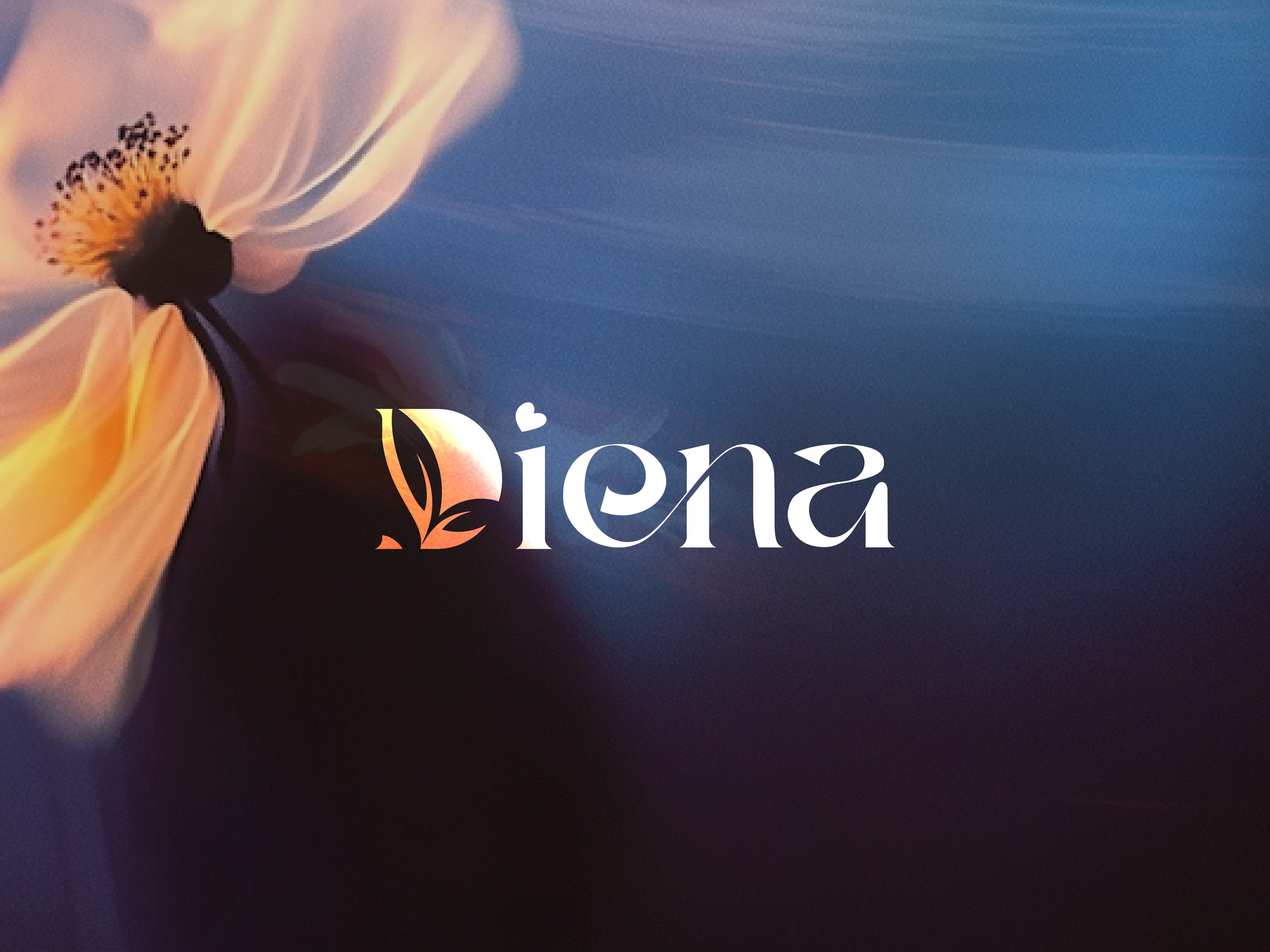 Example of Logo Design | App Icon | 3x Concepts