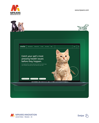 Custom Shopify website for Everfur- Mpaars Innovation digital marketing graphic design shopify web design web development