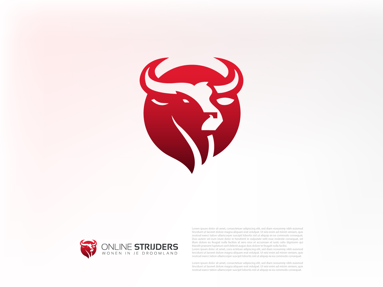 Example of Launch Logo Package