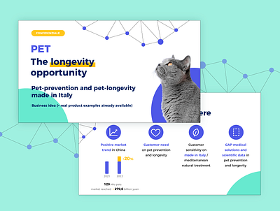 Pitch for a new line of pet medication information architecture information design presentation slide