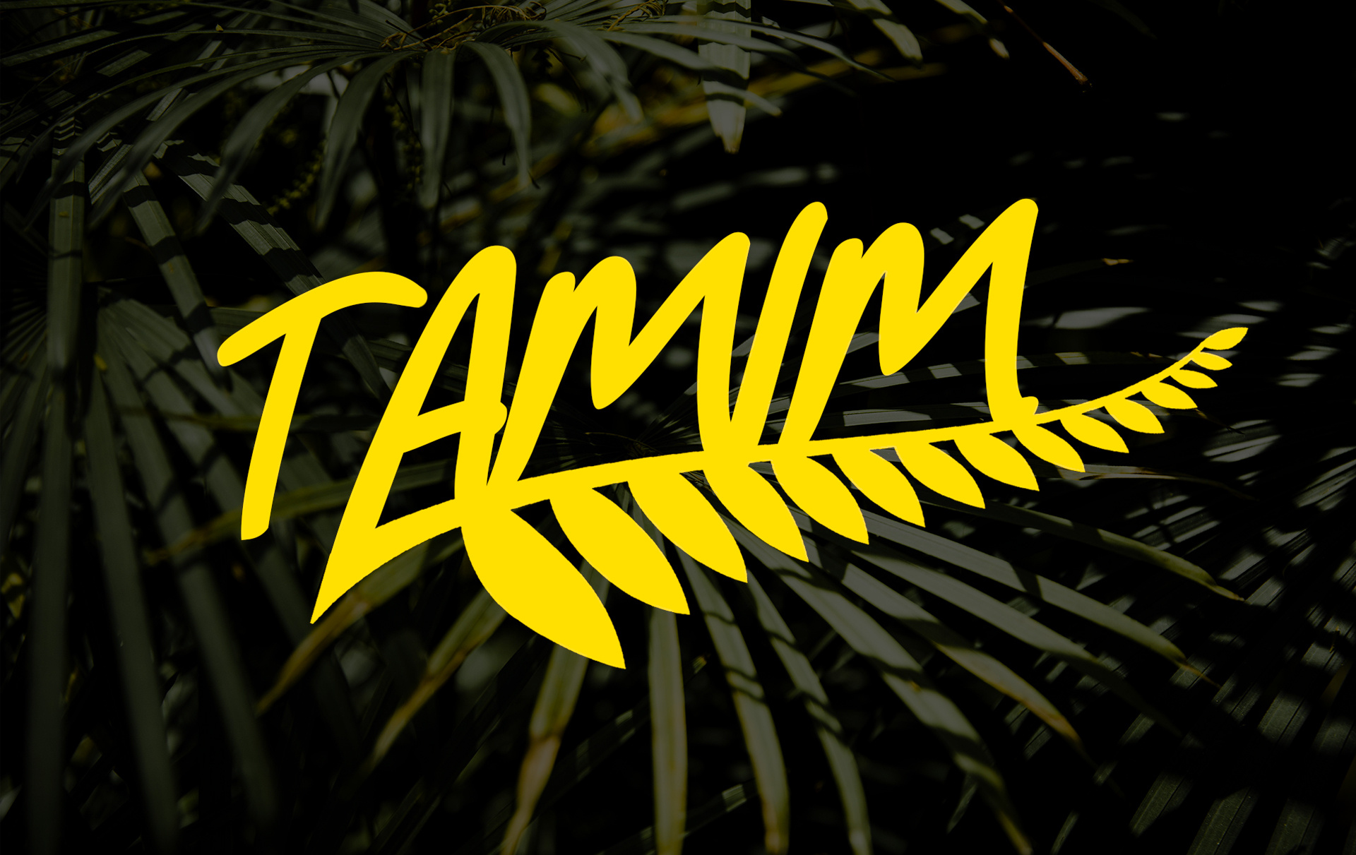 TAMIM — Logo Design business logo graphic design logo design