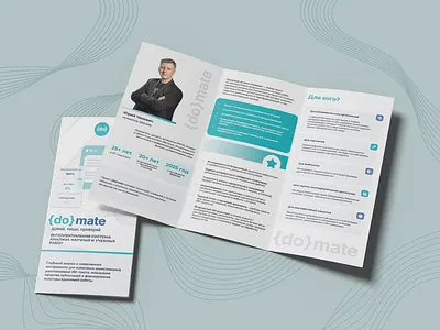 Design of promotional materials for the {do}mate branding graphic design
