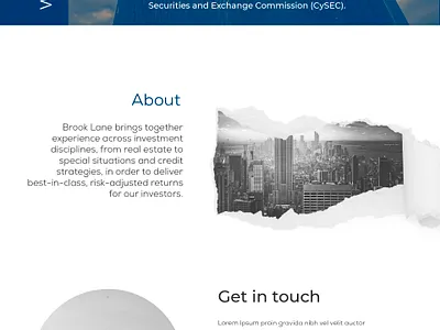 Web design branding design graphic design typography ui vector web design website