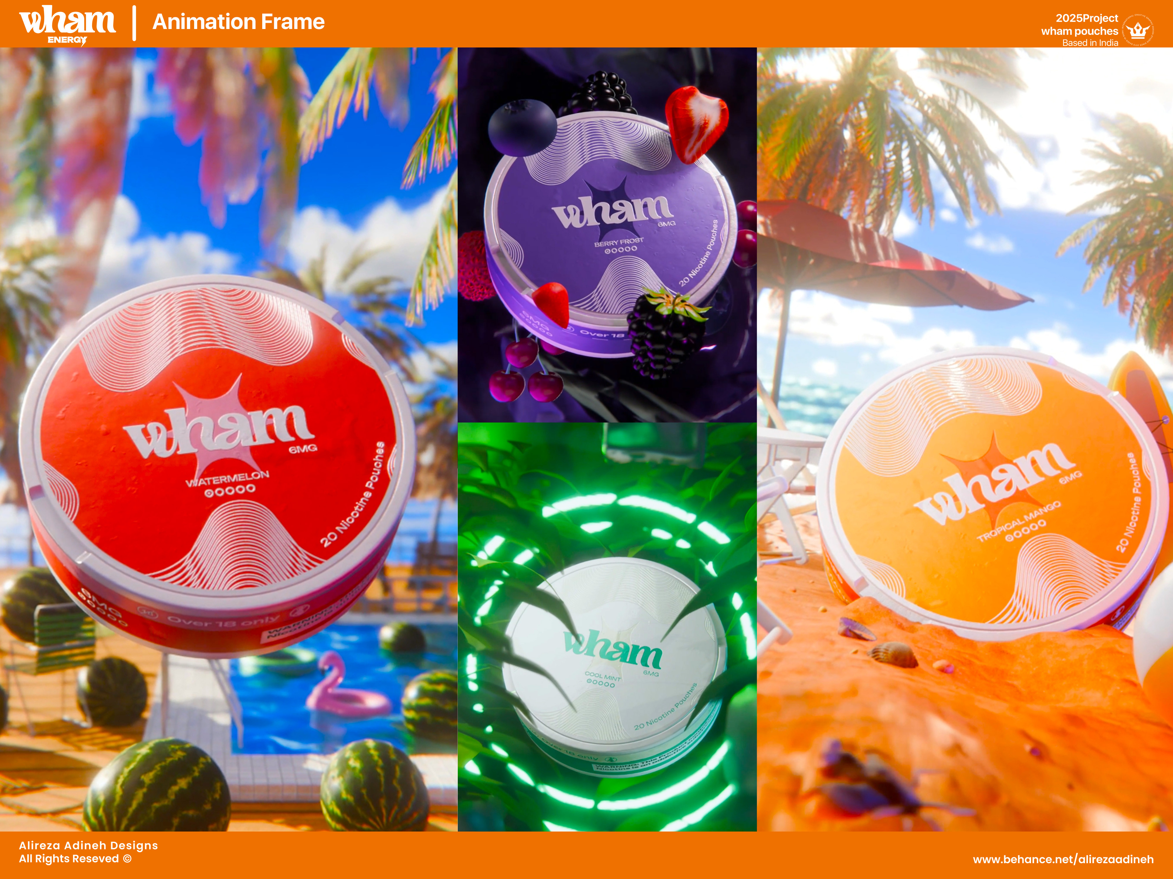 Example of Nicotine Pouches Packaging &Label Design