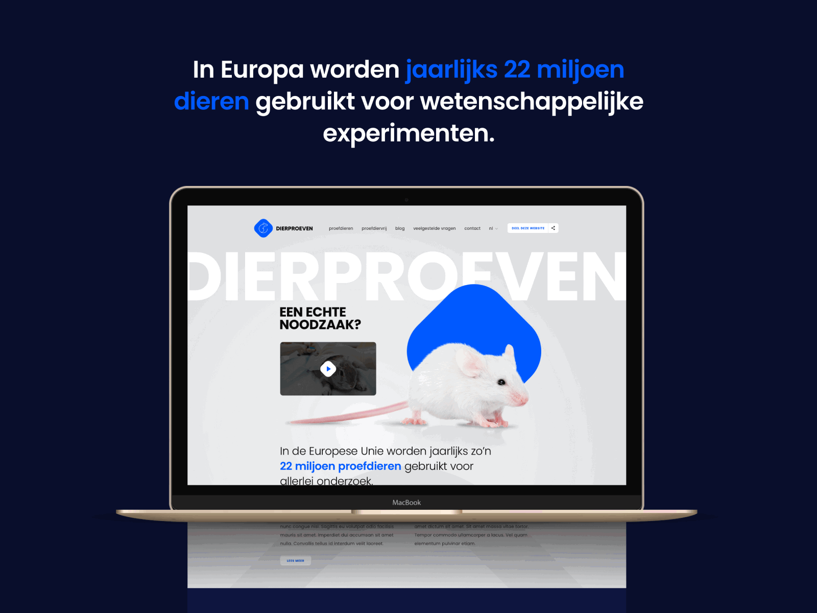 Test on animals animals belgium blue branding brussels design dogs graphic design gray mouse rats