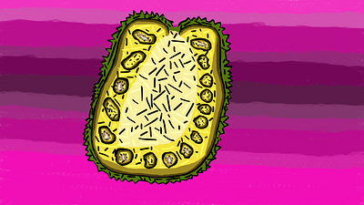 jackfruit clipstudiopaint csp digitalart digitalillustration foodart fruit illustration jackfruit stillife