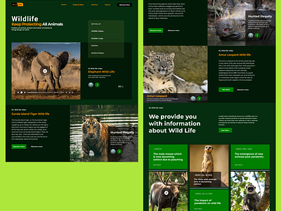 Wildlife Web Design green white ui uiux web design wild life