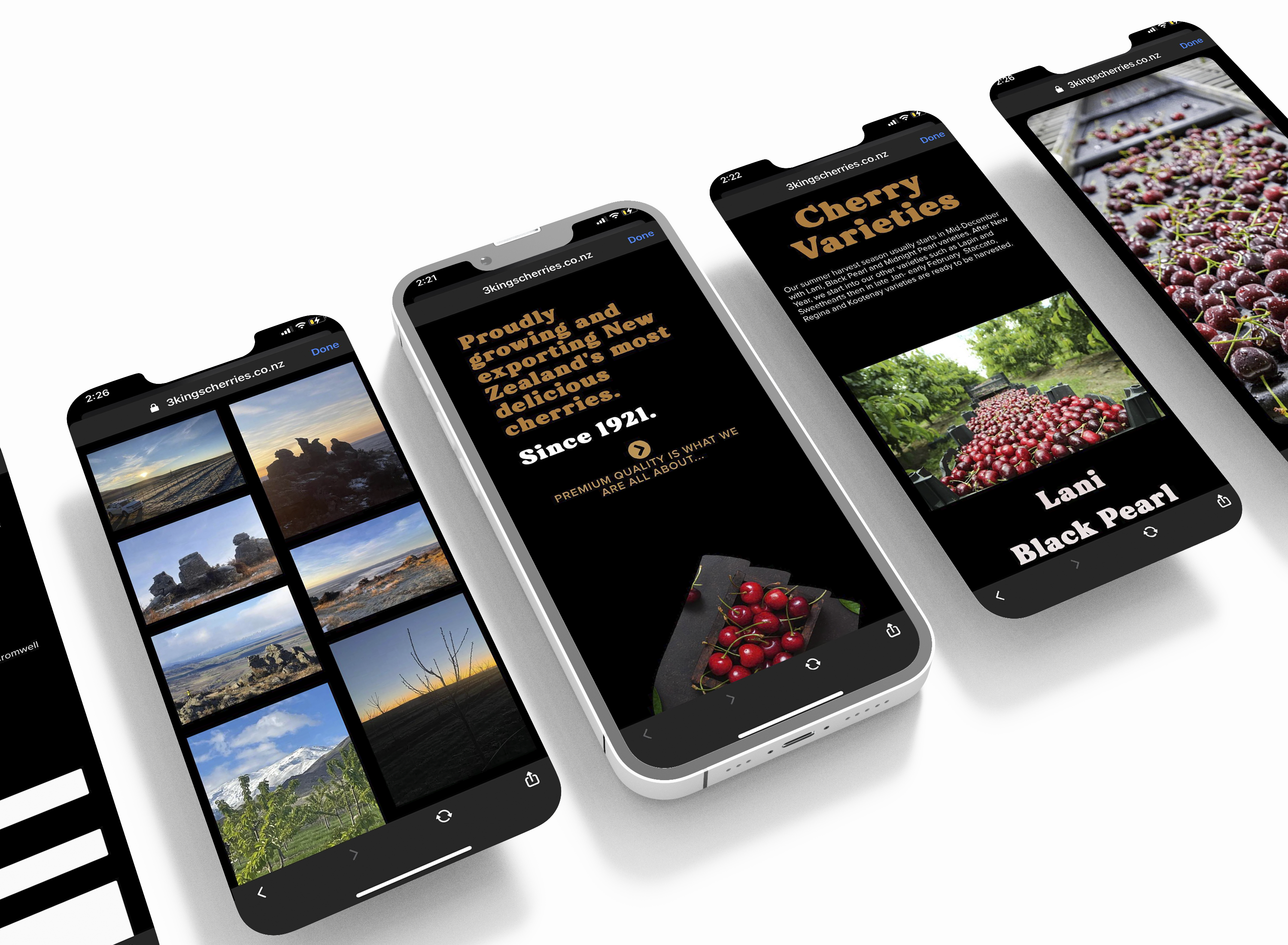 Example of Custom Brand & Website Design