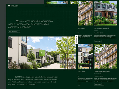 Webdesign PTM Projects webdesign
