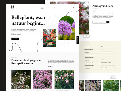 Webdesign Belle Plant webdesign