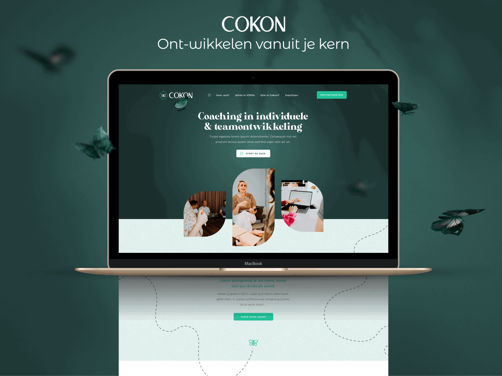 Cokon consultancy belgium branding brussels butterfly graphic design green mobile ui