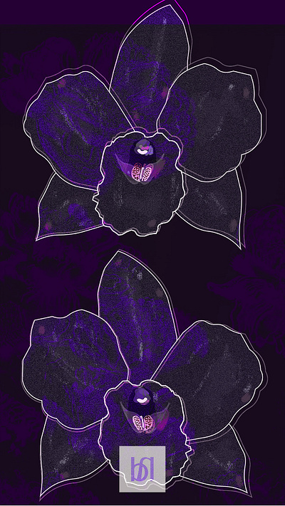 Black orchid - illustration from a photo. botanic botany flower illustration nature orchid