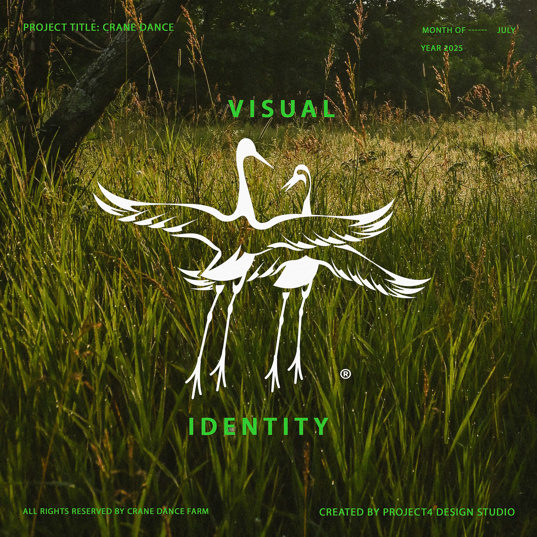 Visual Identity for Crane Dance Farm best logos branding branding ideas farm farm logo graphic design graphicdesign logo logo design logo presentation modern logo top designs vintage designer visual identity