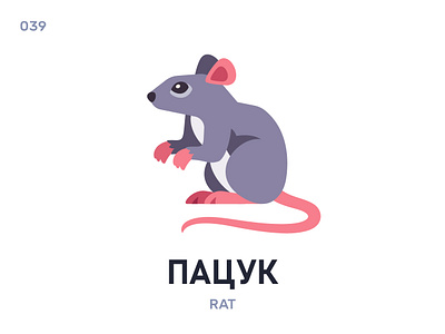 Пацýк / Rat belarus belarusian language daily flat icon illustration vector