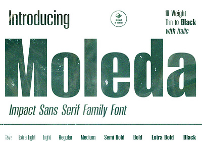 Moleda Typeface banner book cover branding business comic elegant flyer font impact invitation lettering magazine modern movie poster sans serif typeface typography unique wedding