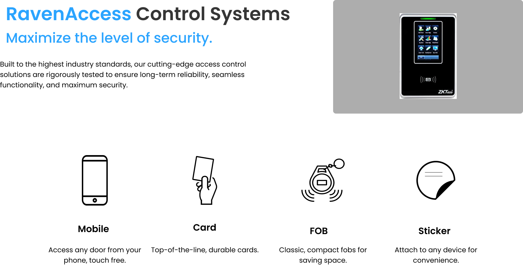 Raven Access - Website Design design graphic design illustration