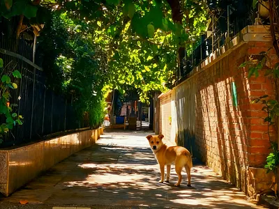 这条街上最靓的仔 3d and shadow enriches light. animation branding design photography